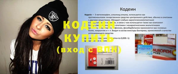 шишки Краснотурьинск
