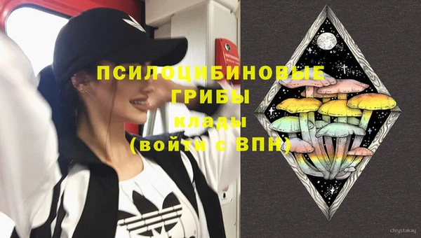 винт Куйбышев