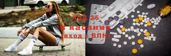 PSILOCYBIN Лабытнанги