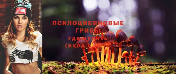 винт Куйбышев