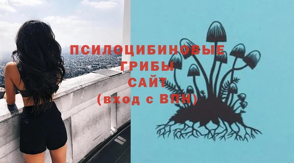 PSILOCYBIN Лабытнанги