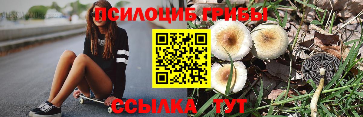 Галлюциногенные грибы прущие грибы  цена наркотик  Псилоцибиновые грибы Cubensis  Красный Сулин  Вход с VPN 