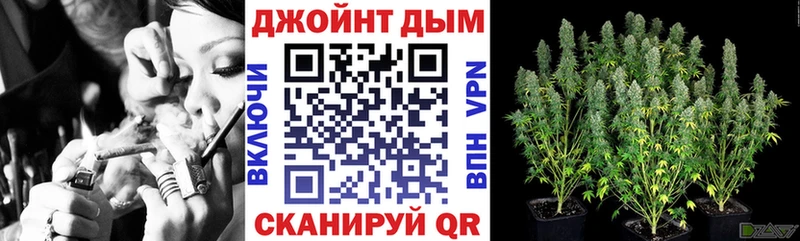 Каннабис сатива наркошоп Красный Сулин