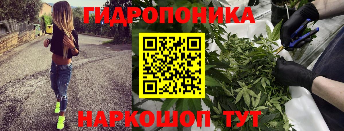 Марихуана тримм  МАРИХУАНА сатива  Вход с VPN  Красный Сулин  Бошки Шишки конопля 